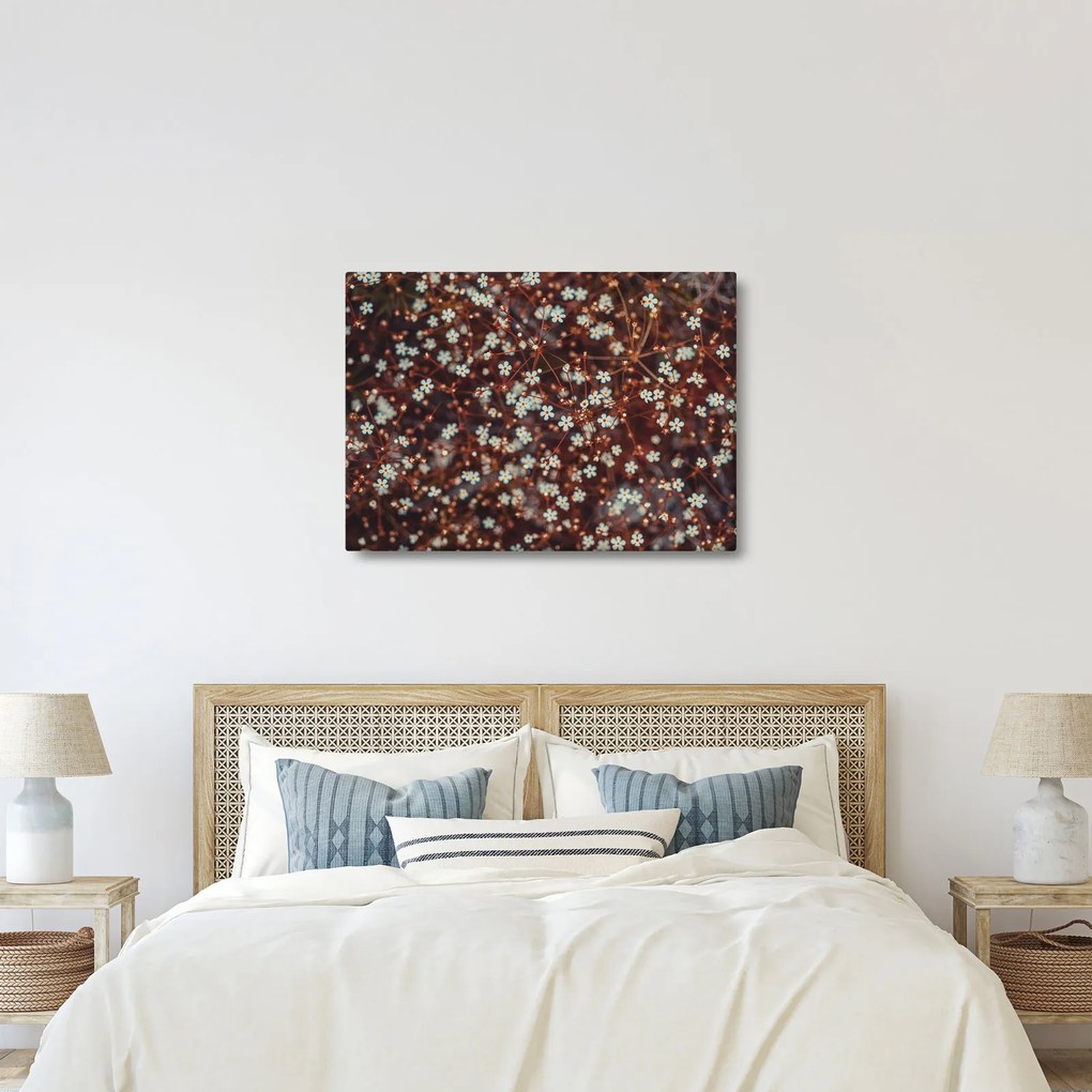 Tablou cu floare de nu mă uita (70x50 cm)
