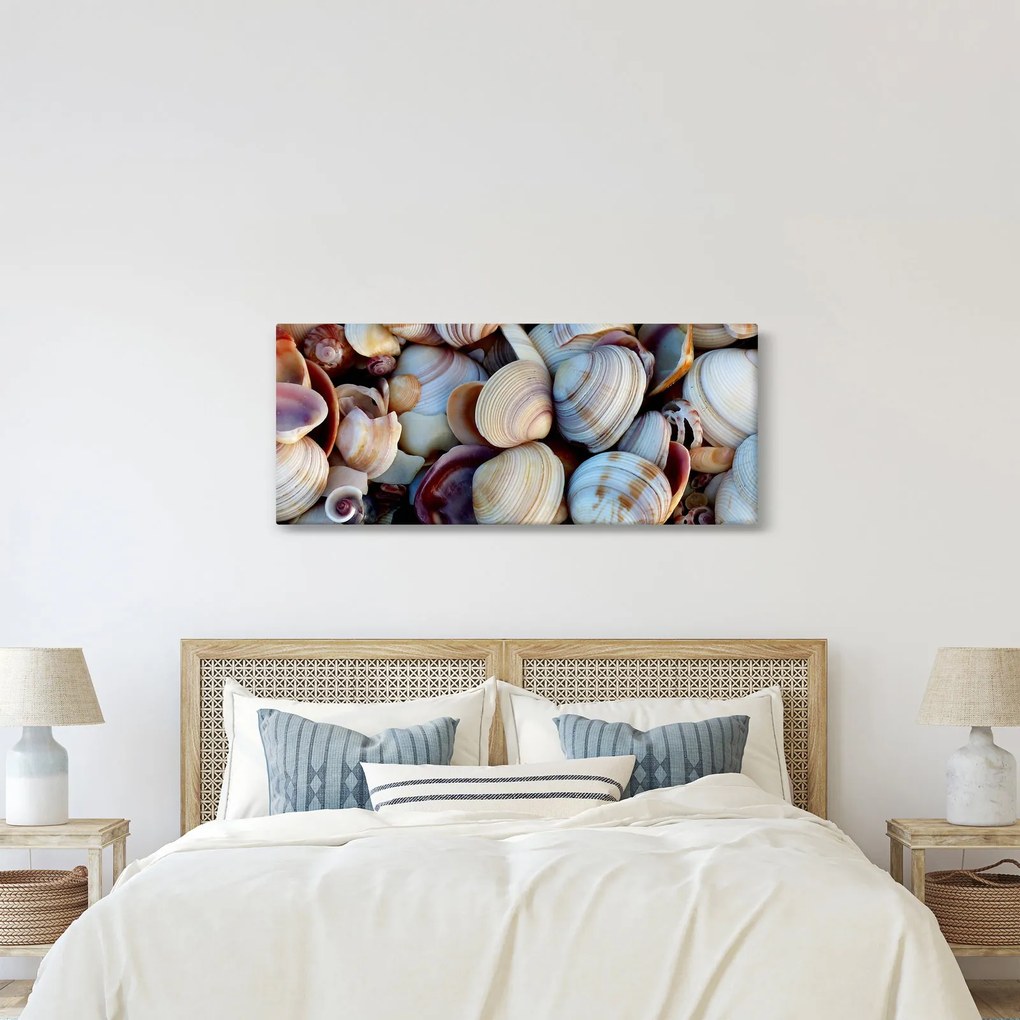 tablou cu scoici (120x50 cm)