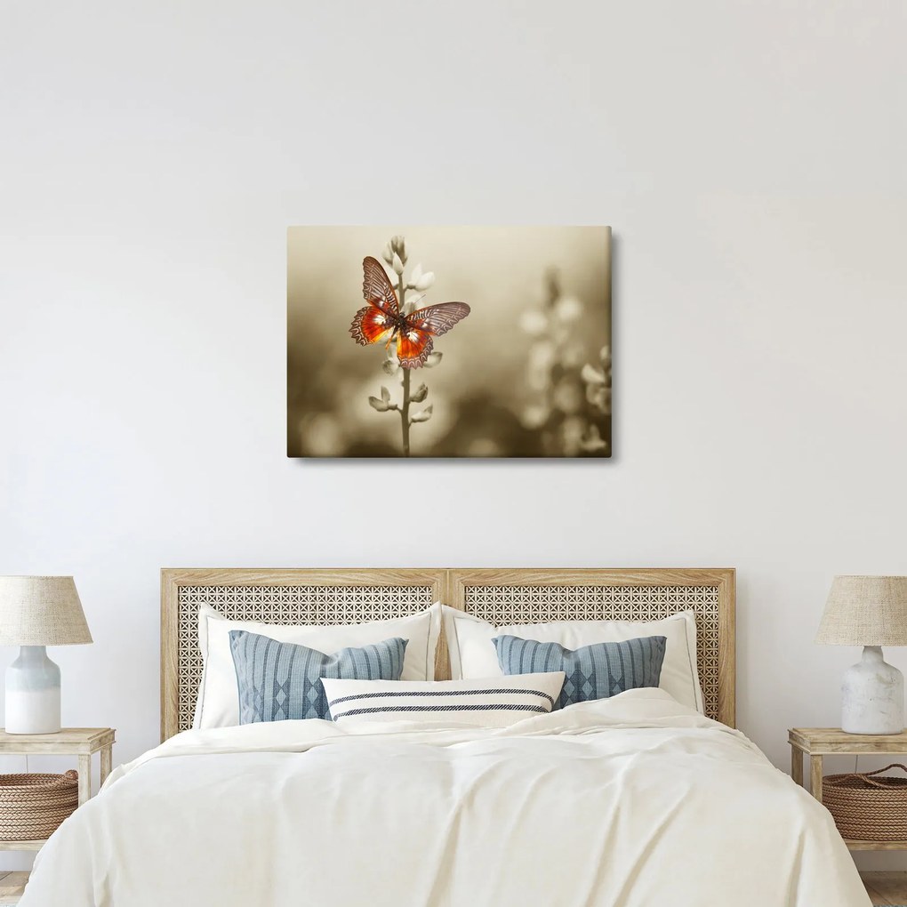 Tablou cu fluture (70x50 cm)