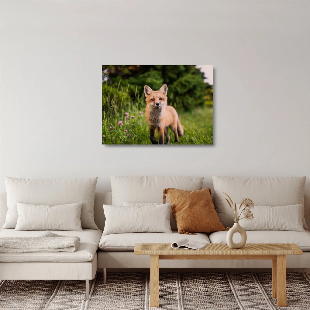 Tablou pe sticlă cu vulpe (70x50 cm)