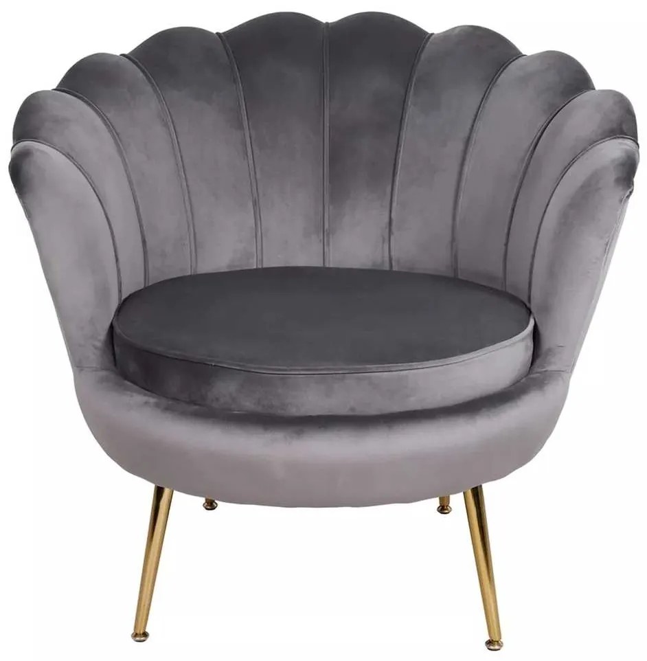 Fotoliu Ionia Velvet, gri