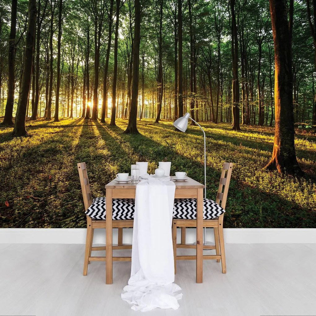 Fototapet - Pădure (152,5x104 cm)