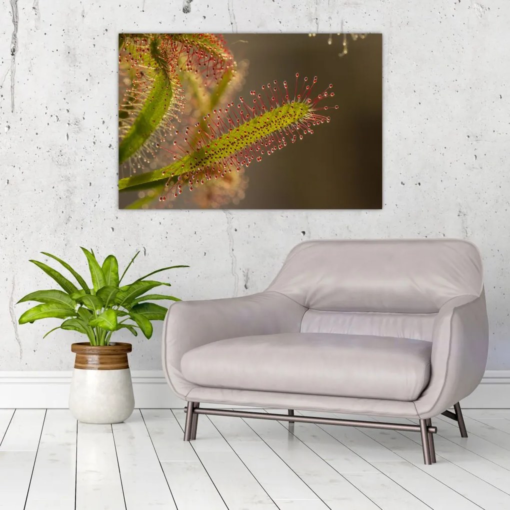 Tablou cu plantă (90x60 cm)