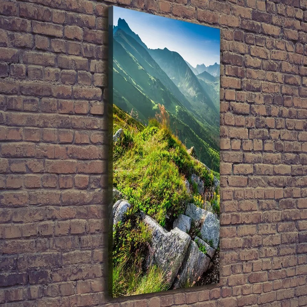 Tablou canvas Munte de vară