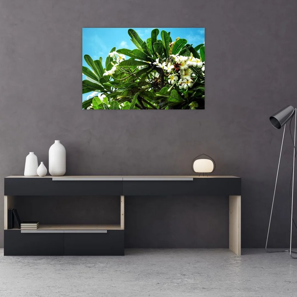 Tablou - Plumeria (90x60 cm)