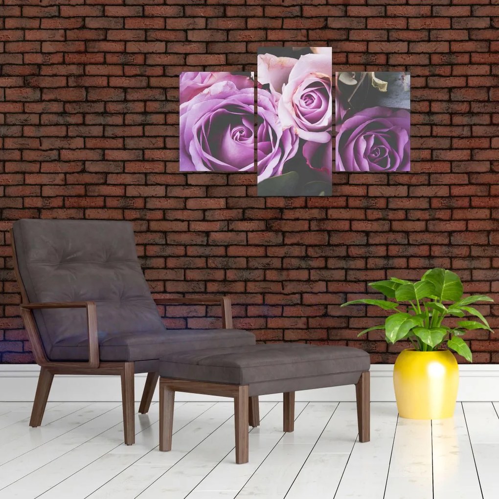 Tablou - Trandafiri (90x60 cm)