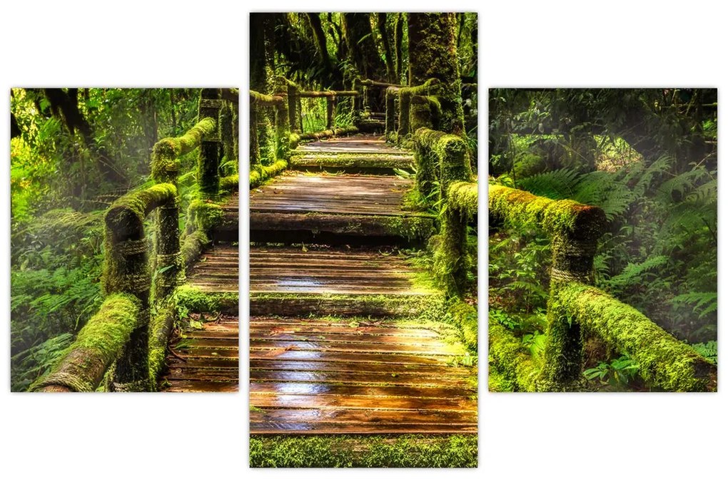 Tablou cu scări într-o pădure tropicală (90x60 cm)