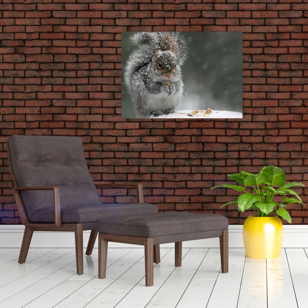 Tablou - Veveriță iarna (70x50 cm)