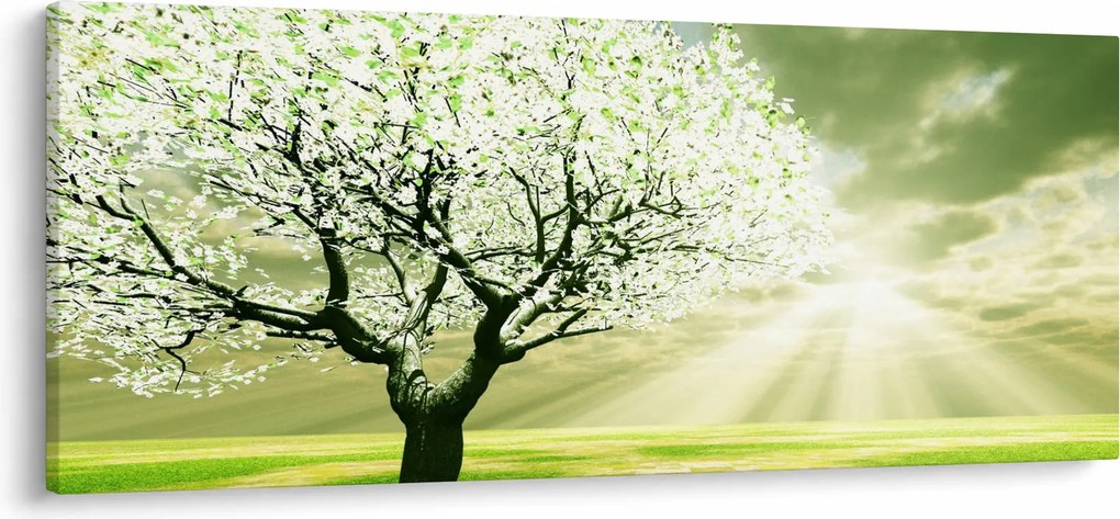 Tablou cu copaci pe luncă (120x50 cm)