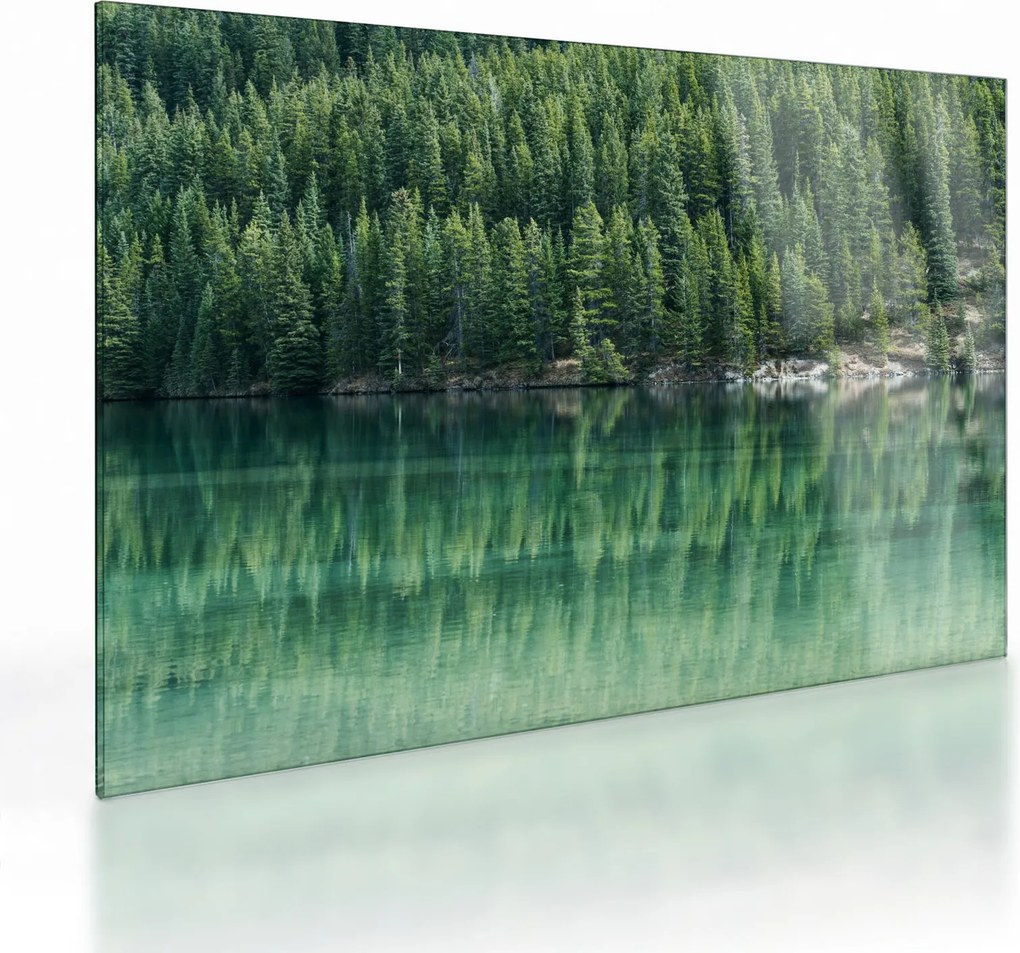 Tablou pe sticlă - Coniferi lângă lac (70x50 cm)
