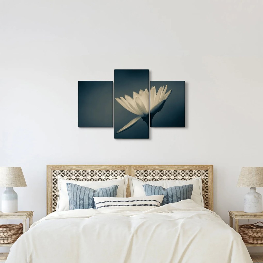 Tablou cu flori (90x60 cm)
