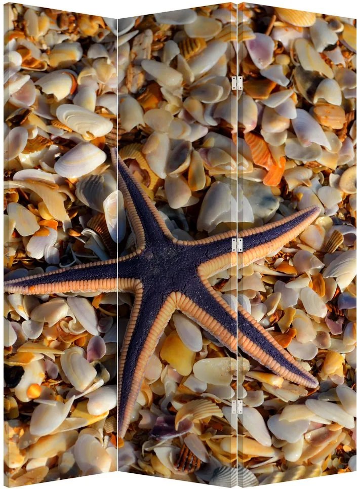 Paravan - Stea de mare (126x170 cm)