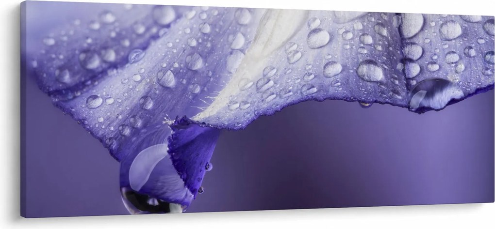 Tablou - Petală cu picături (120x50 cm)
