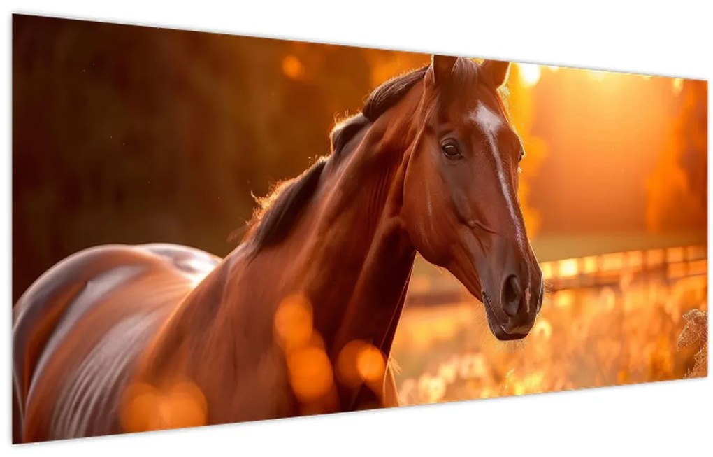 Tablou - Cal în apus de soare (120x50 cm)