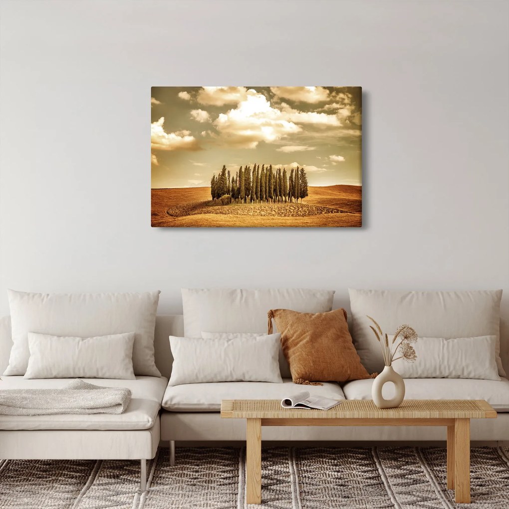 Tablou cu luncă (90x60 cm)