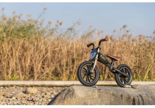 Bicicletă fără pedale QPlay FEDURO negru/auriu