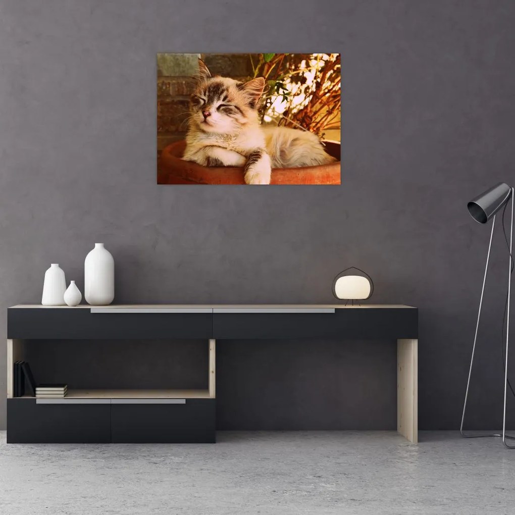 Tablou cu pisica în ghiveci (70x50 cm)
