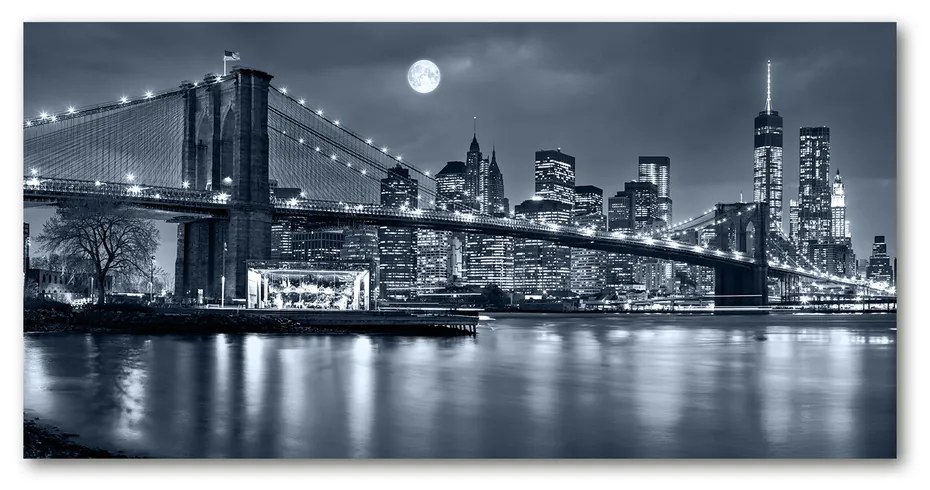 Tablou acrilic Manhattan new york city