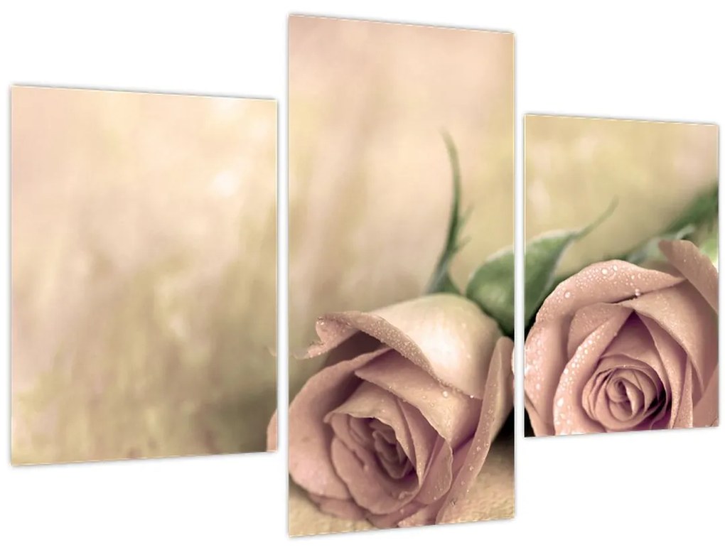 Tablou - Trandafiri fine (90x60 cm)