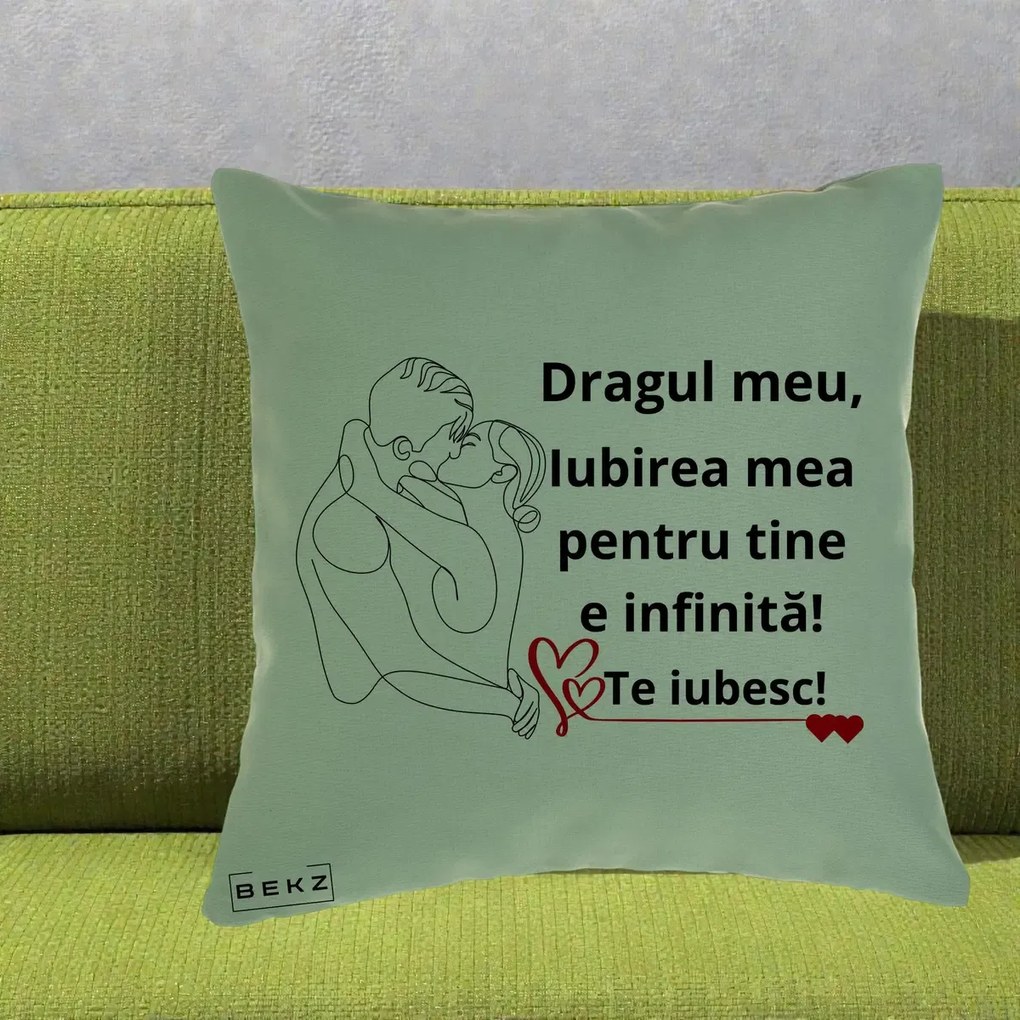 Cadou pentru Iubit - Perna Personalizata Dragul Meu Iubirea Mea pentru Tine e Infinita Te Iubesc, 40x40 cm, Verde, Husa Detasabila, Perna Inclusa, BEKZ®