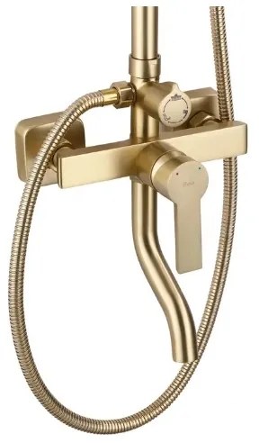 REA-P7841 - Set de duș ARGUS cu baterie, finisaj auriu periat
