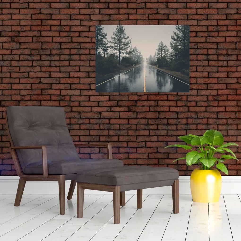 Tablou - Drum în ploaie (70x50 cm)