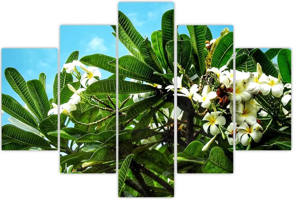Tablou - Plumeria (150x105 cm)