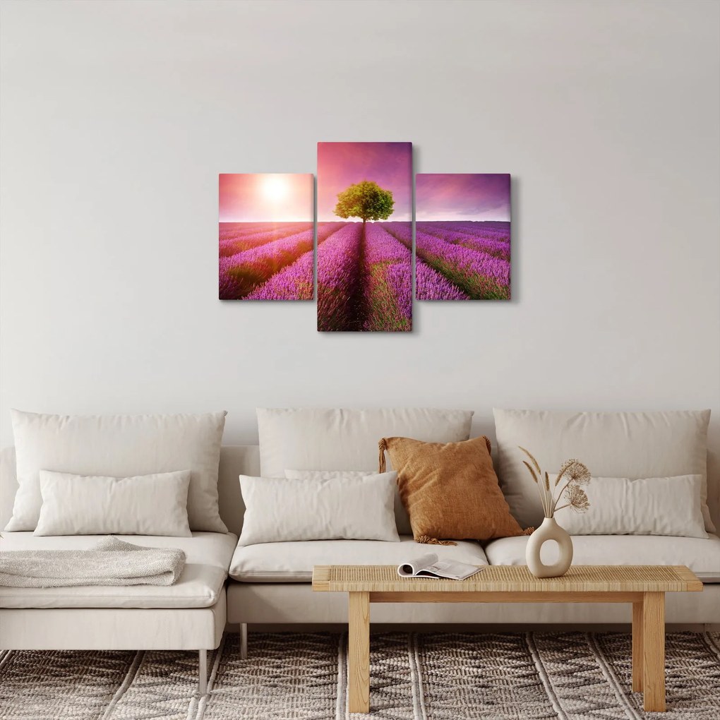 Tablou câmp cu lavandă (90x60 cm)
