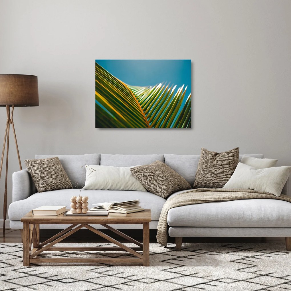Tablou pe sticlă - Frunze de palmier (70x50 cm)