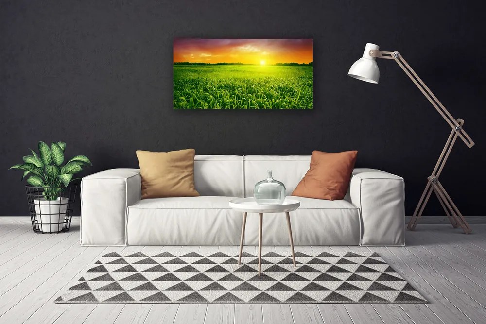 Tablou pe panza canvas Cereale Câmp Sunrise Floral Verde Roșu