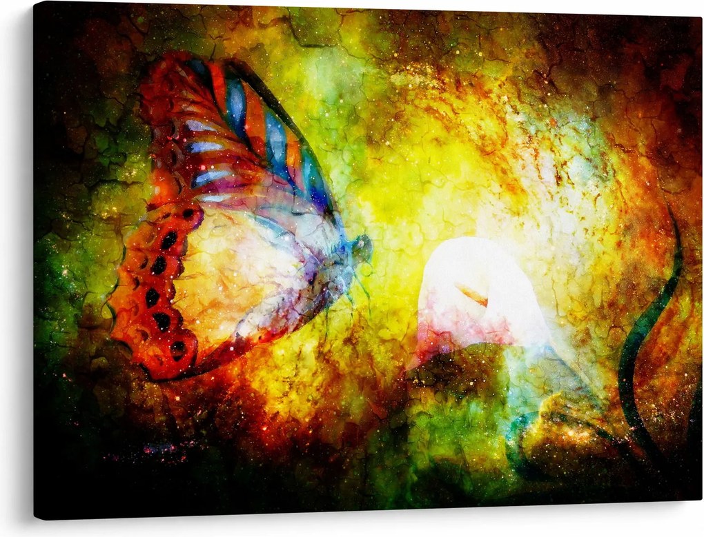 Tablou - Fluture spațial (70x50 cm)