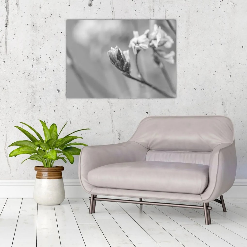 Tablou - Floare înflorită (70x50 cm)