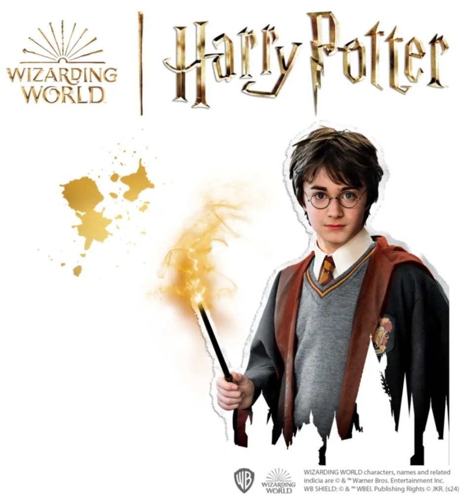 Harry Potter - Set creativ copii cu mulaj si pictura