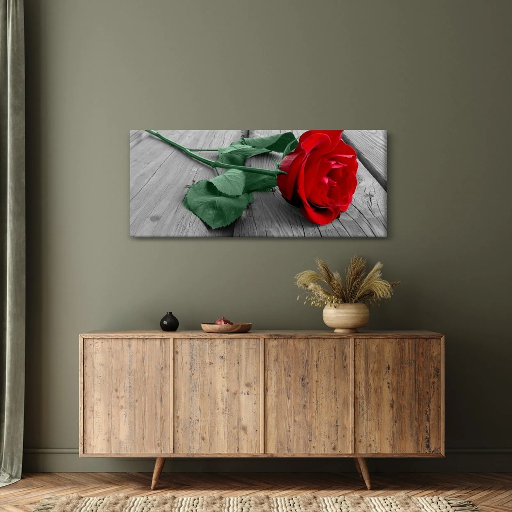 Tablou - Trandafir roșu cu tulpină verde (120x50 cm)