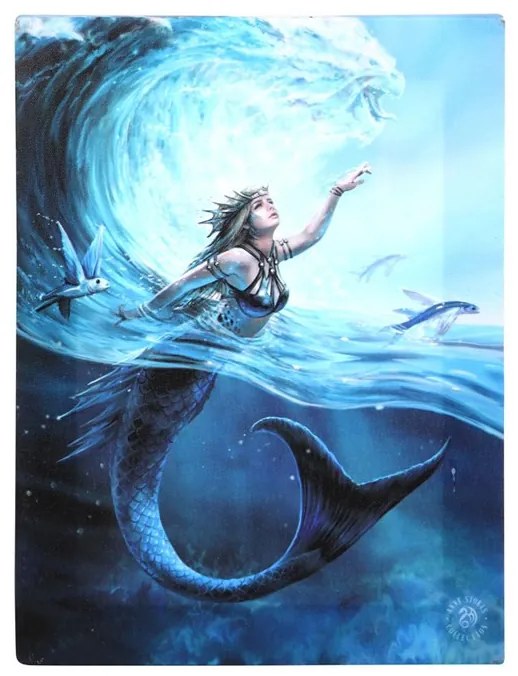 Tablou canvas Water Element Sorceress 19x25cm