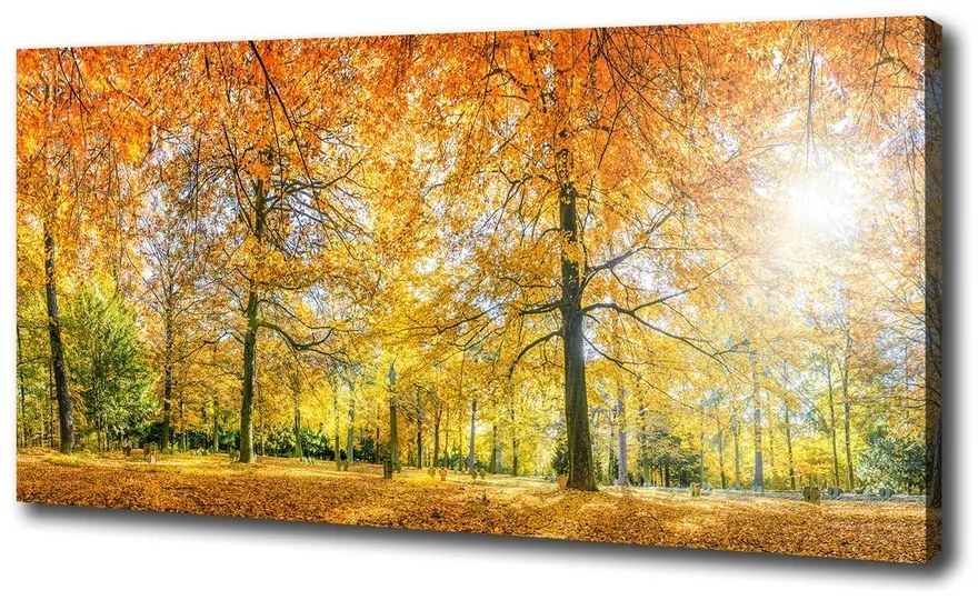 Tablouri tipărite pe pânză Pădure în toamna