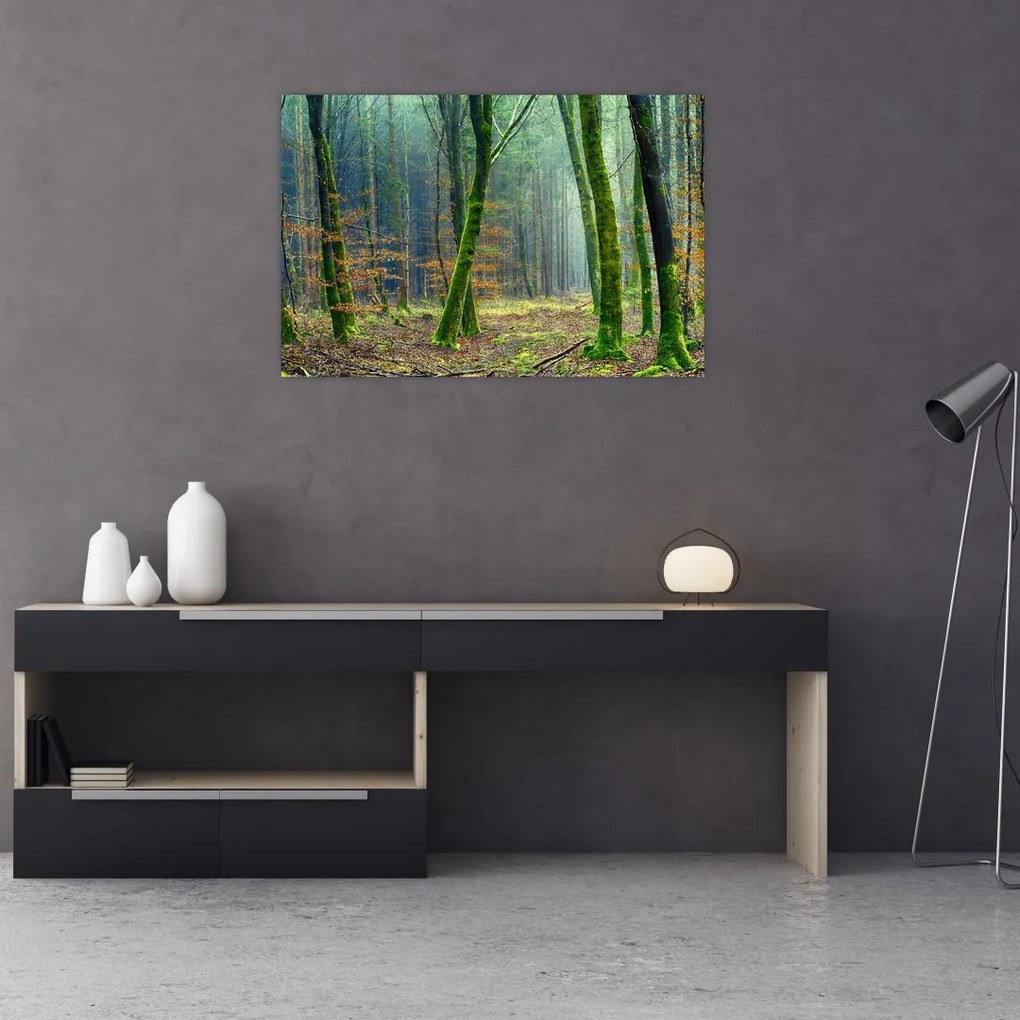 Tablou cu pădure (90x60 cm)