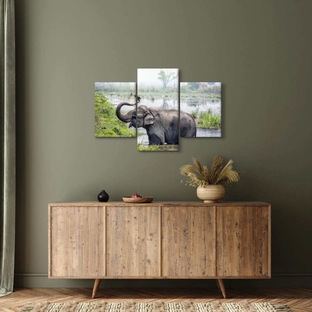 Tablou - Elefant de scăldat (90x60 cm)