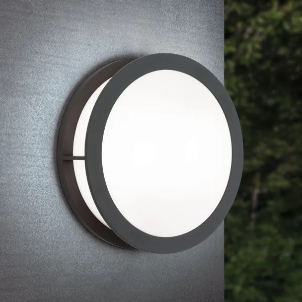 Orion - Aplică de exterior HENRY, 2xE27/15W/230V, Ø 30 cm, IP44, antracit