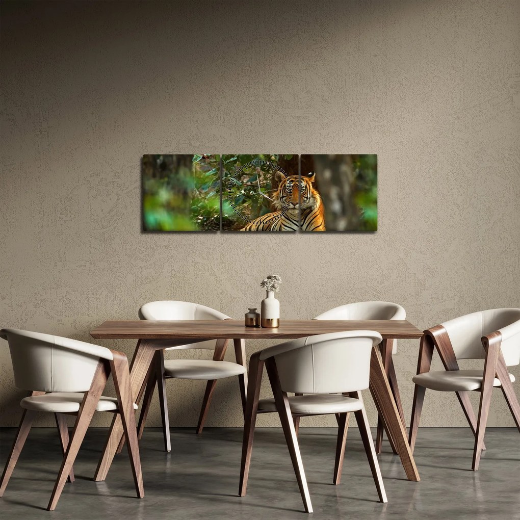 Tablou - Tigru odihnindu -se (cu ceas) (90x30 cm)