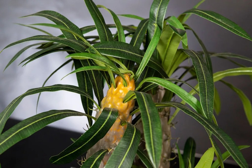 Aranjament floral mediu design LUX CACTUS SQUARE