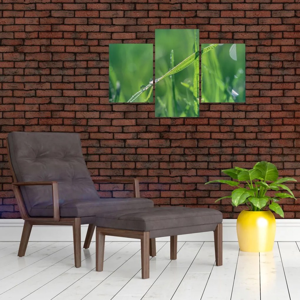 Tablou cu picături de rouă (90x60 cm)
