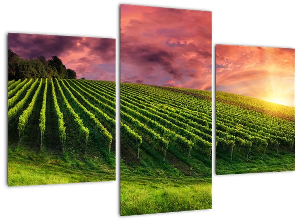Tablou cu vie cu cerul color (90x60 cm)