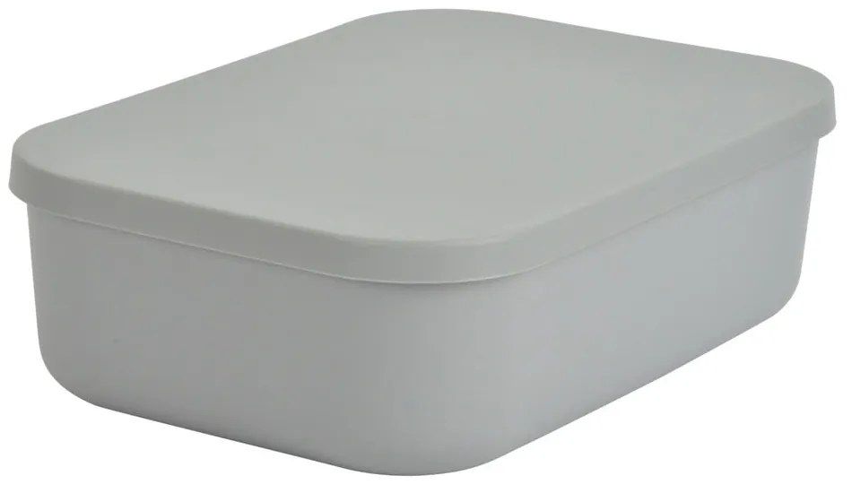 Cutie de depozitare gri din plastic cu capac 24x18x8 cm – Homéa