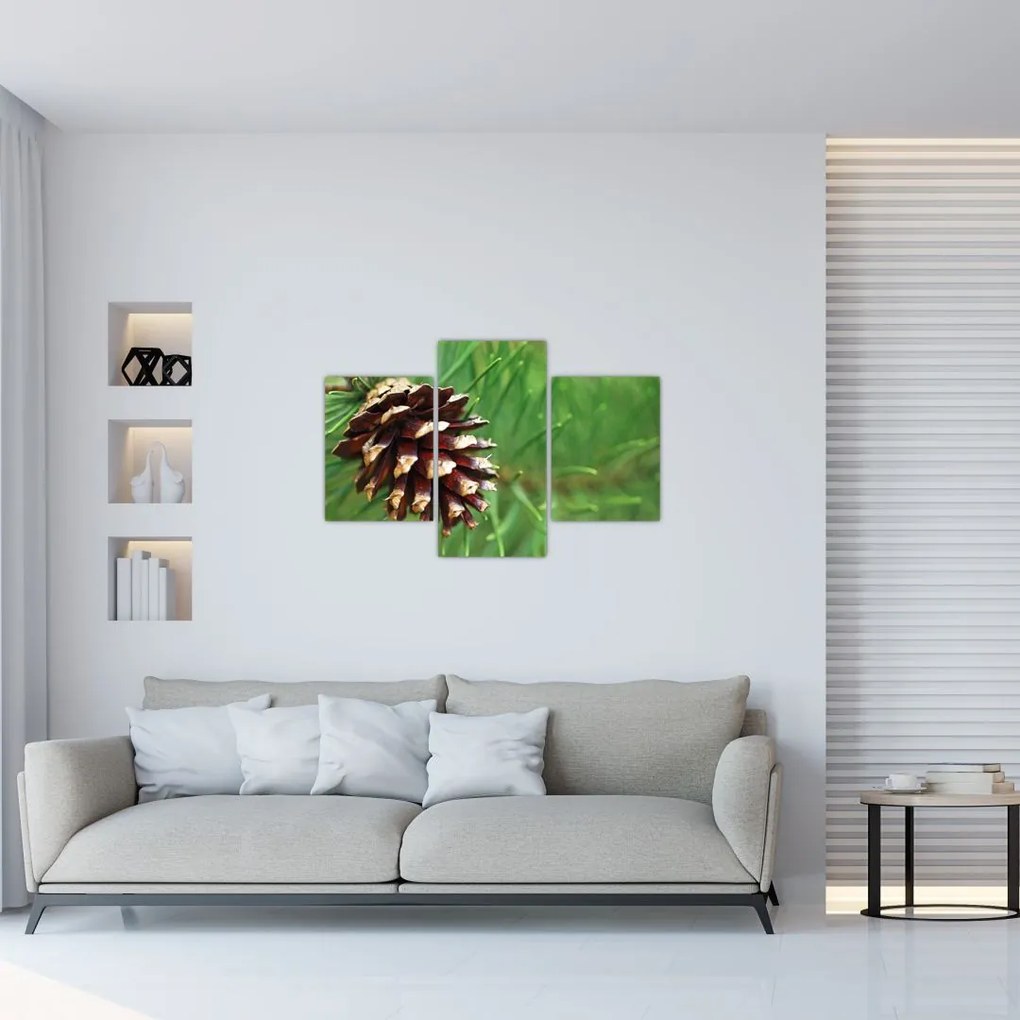 Tablou cu con (90x60 cm)