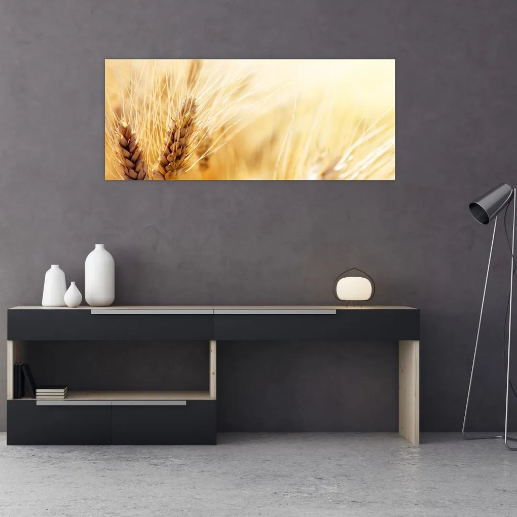 Tablou- detaliu cu (120x50 cm)