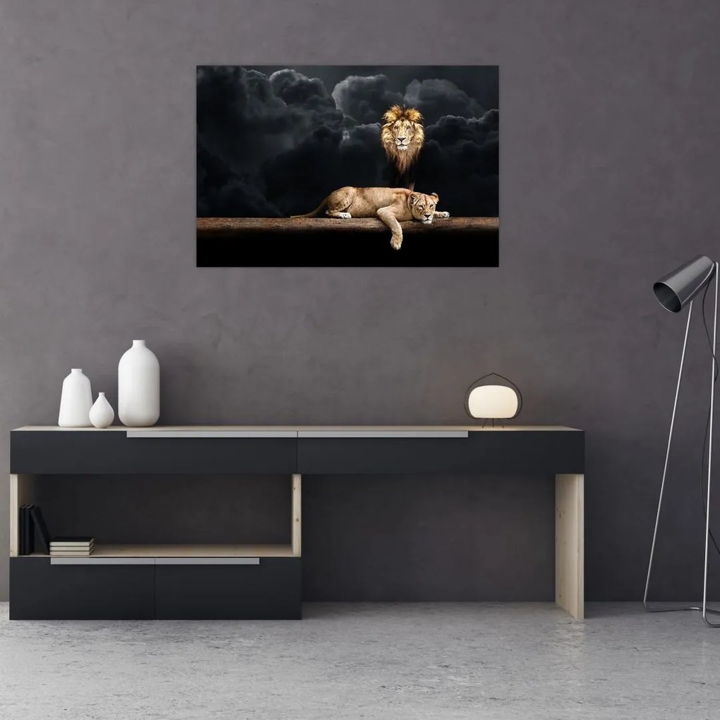 Tablou - Leu și leoaică (90x60 cm)