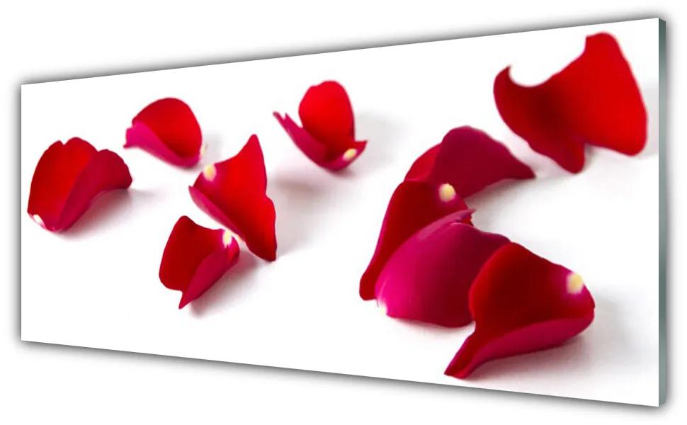 Tablouri acrilice Petale Floral Red