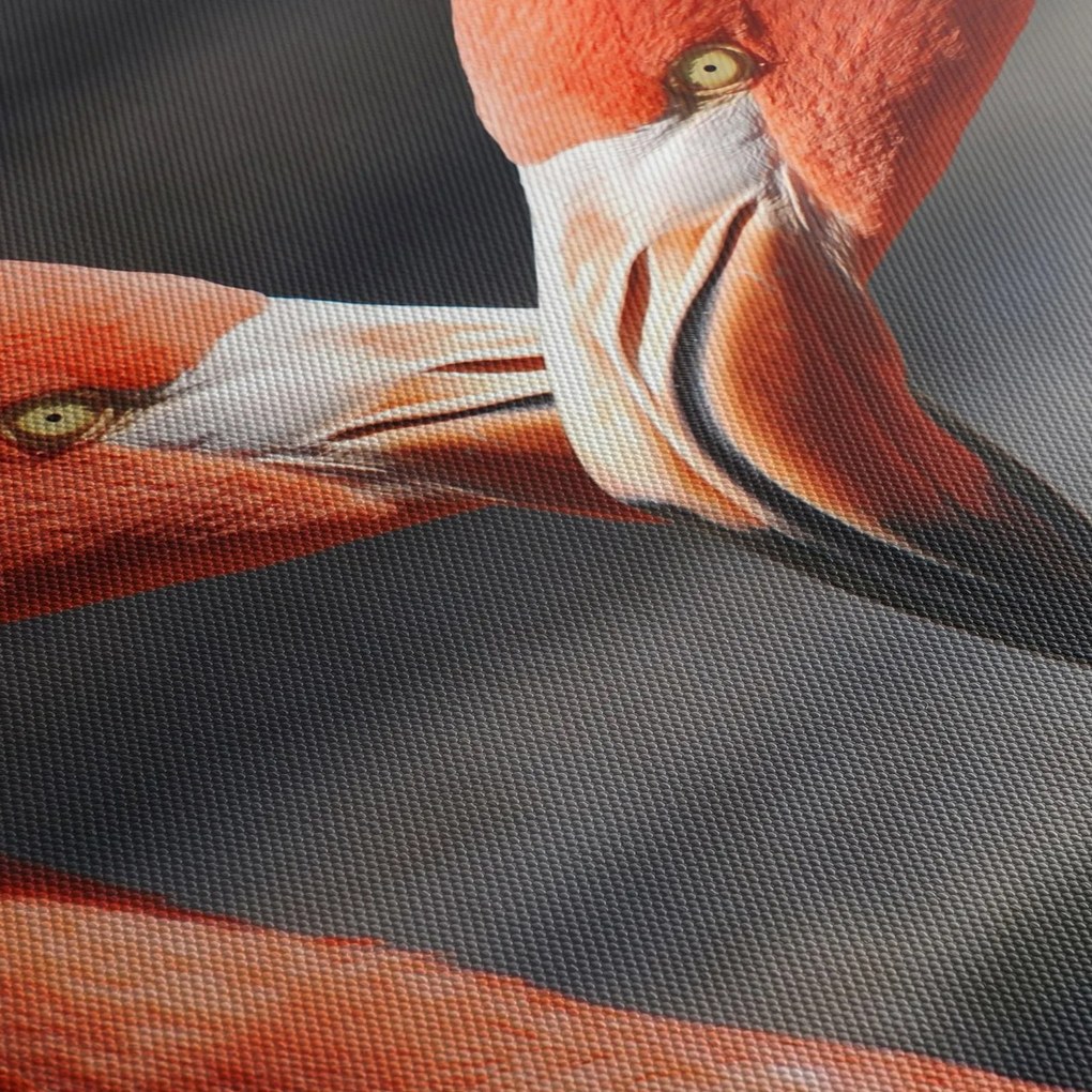 Tablou cu doi flamengo îndrăgostiți (120x50 cm)