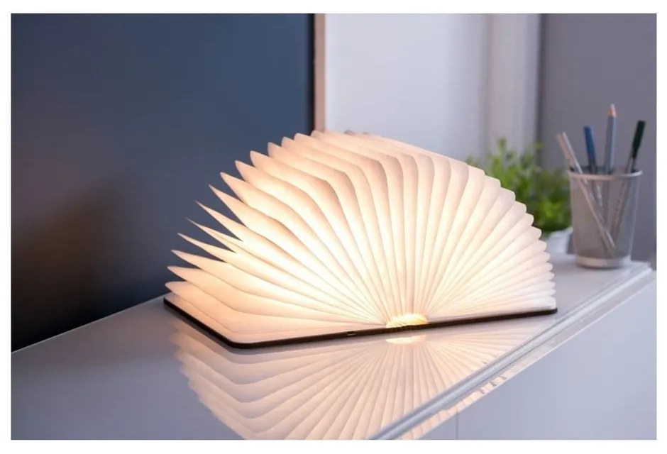 Decorațiune luminoasă maro cu USB Booklight – Gingko